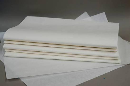 How Does Filter Paper Look? A Simple Guide